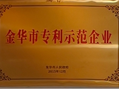 金華市專利示范企業(yè)
