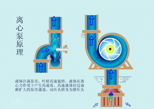 科普之離心泵啟動(dòng)時(shí)，出口閥門(mén)必須關(guān)閉嗎？(圖2)